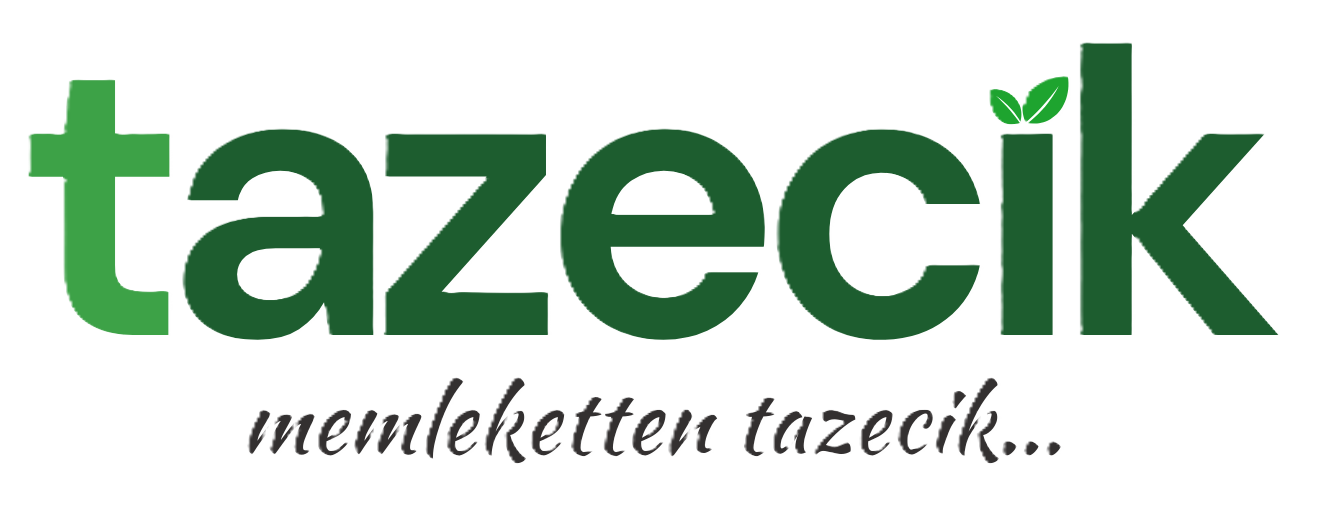 tazecik_logo_no_background.png